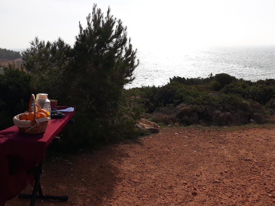 Algarve Views - Wines & Experiences-Silves必去景点