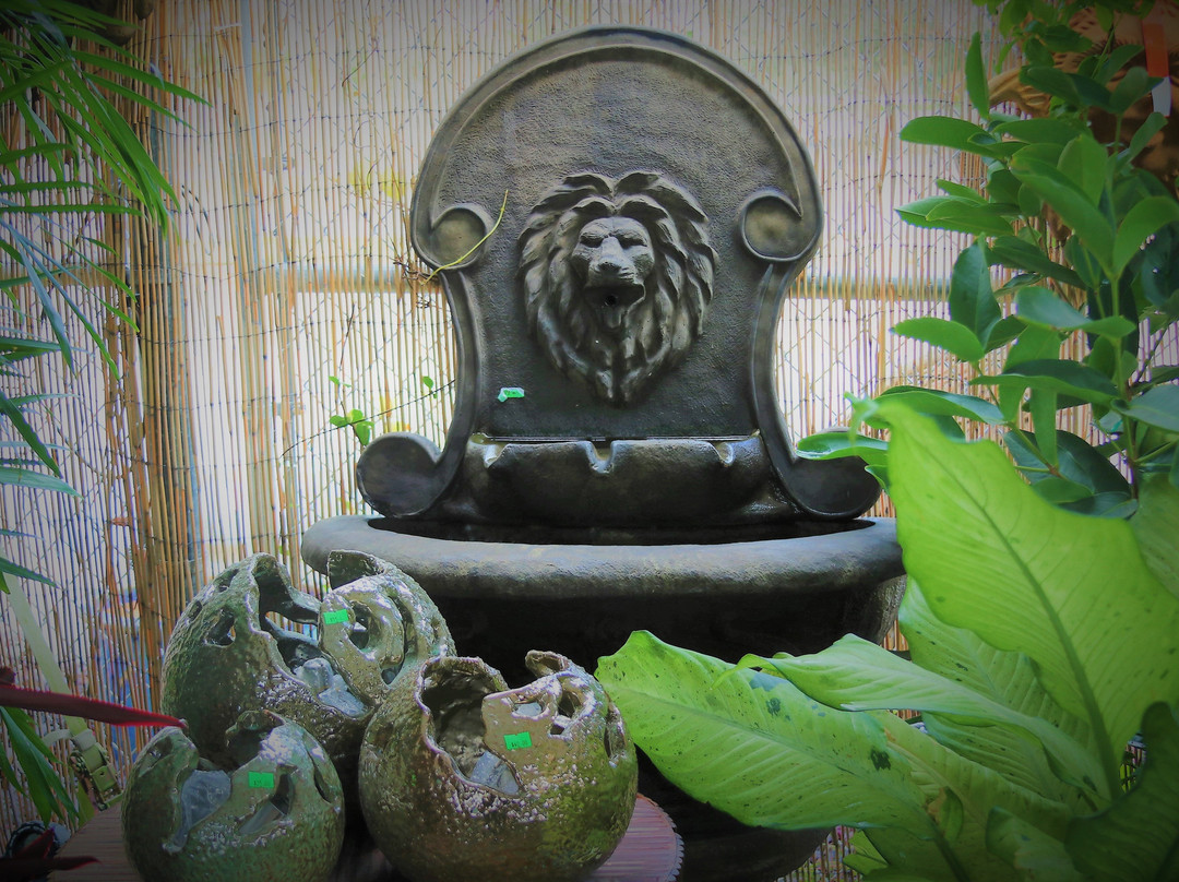 Flamingo Island Flea Market-博尼塔斯普林斯必去景点