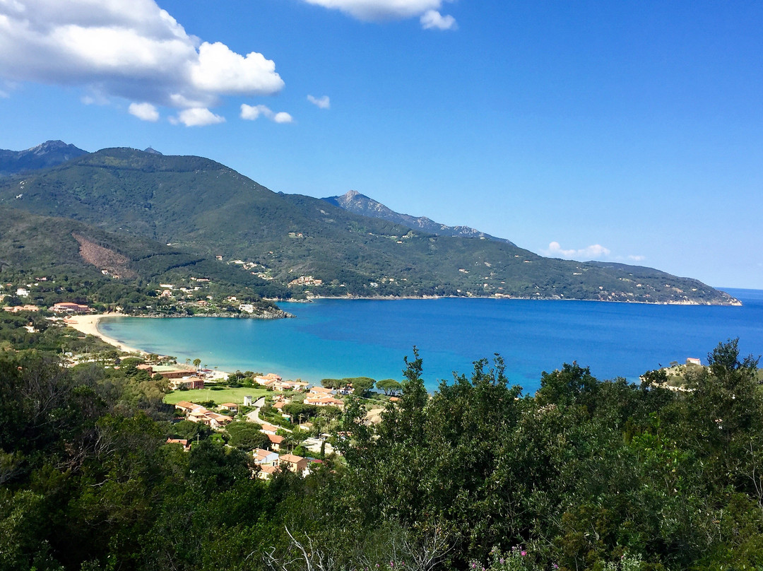 Le Sprizze Mare