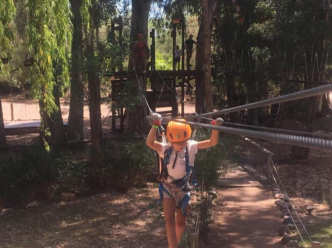 Bosque Aereo Euca-圣拉斐尔必去景点