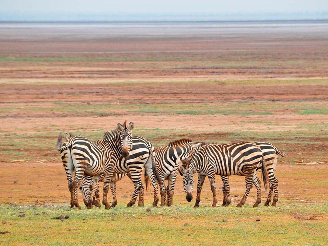 Tanzania Destination-阿鲁沙必去景点