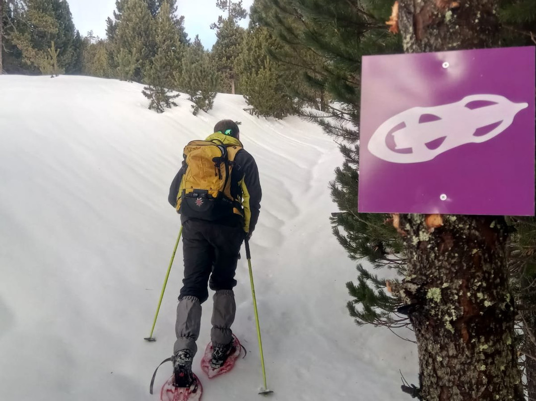 Station de Ski Formigueres景点图片