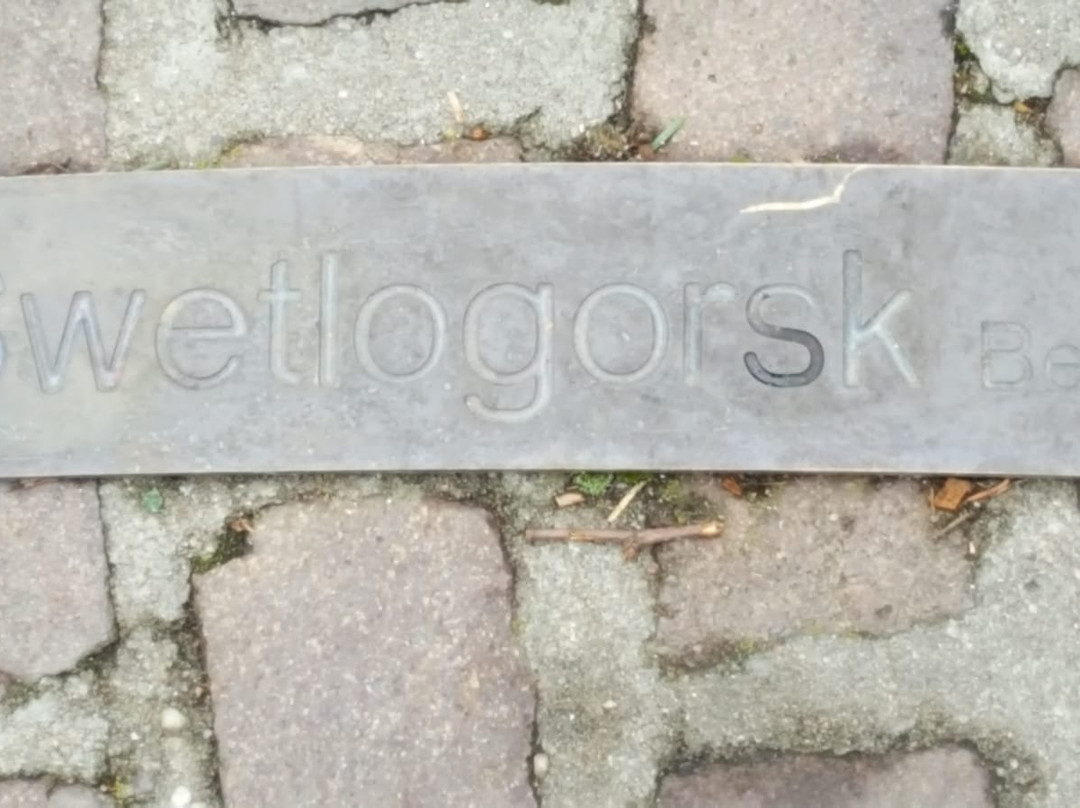 Marktbrunnen-Helmstedt必去景点