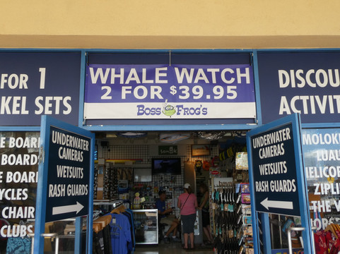 Boss Frog's Dive & Surf - Ma'alaea Harbor Shops-怀露库必去景点