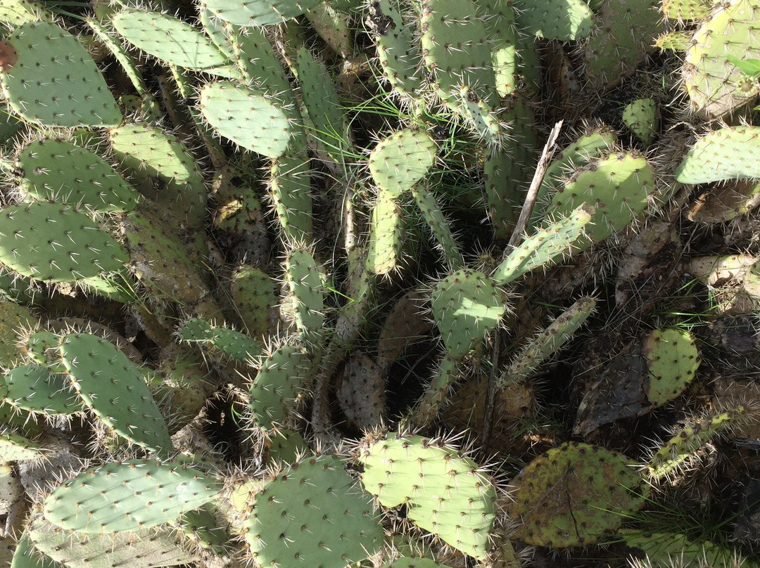 Peter & Mary Muth Interpretive Center-纽波特海滩必去景点