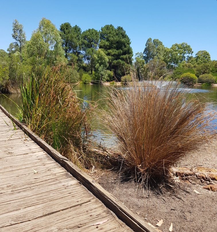 Hartfield Park Federation Gardens-Forrestfield必去景点