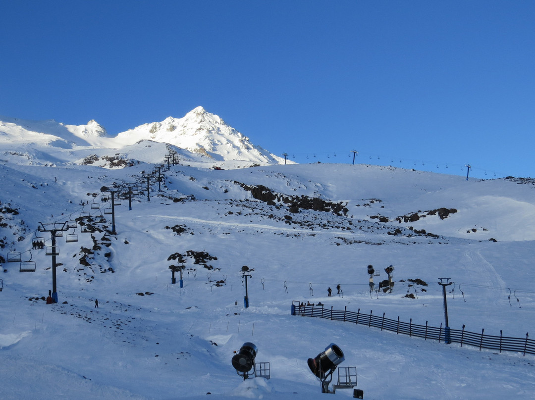 Maxwell Services-奥克兰中心地区必去景点