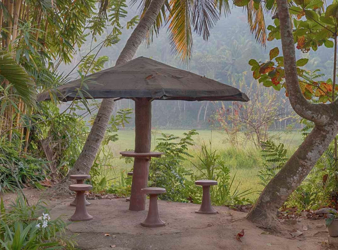 Green View Home Stay主图