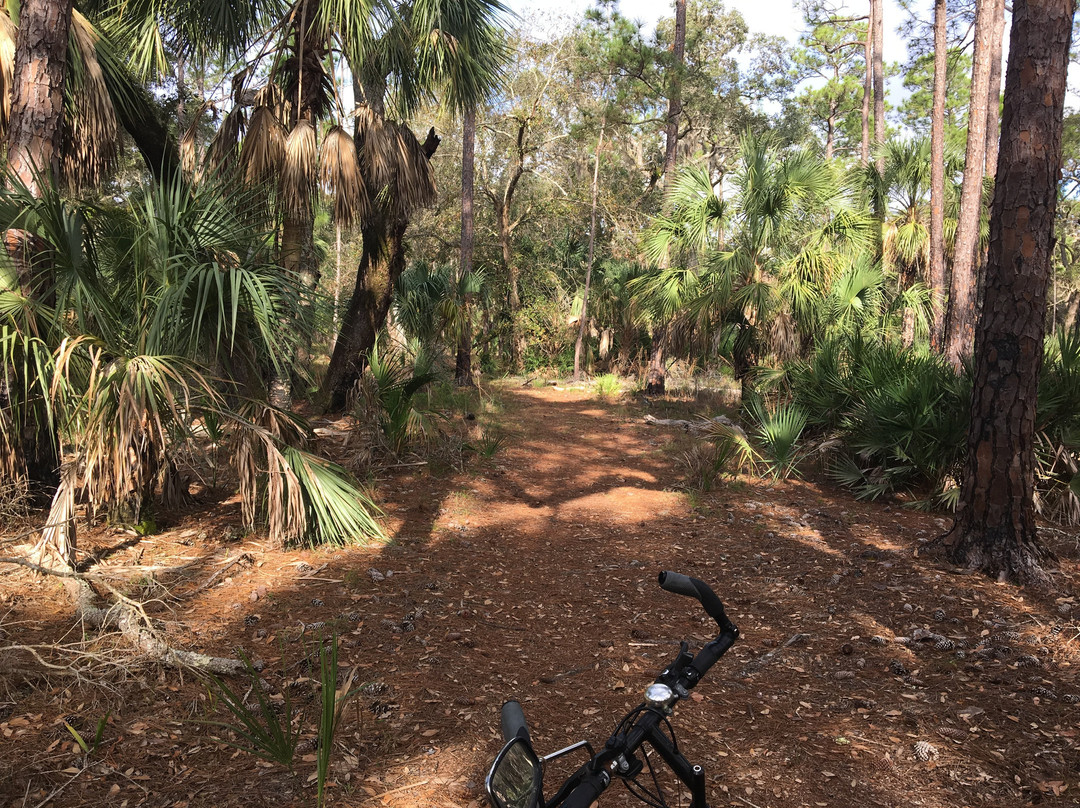 Lake Kissimmee State Park-莱克威尔士必去景点