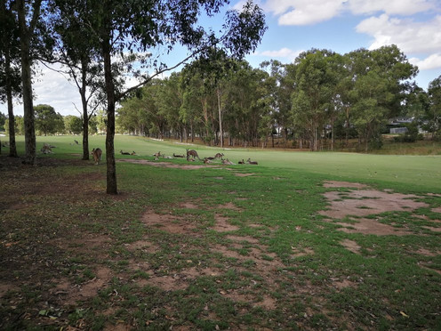 The Vintage Golf Club-Rothbury必去景点