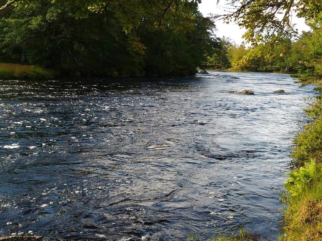 Thurston Creek Campground