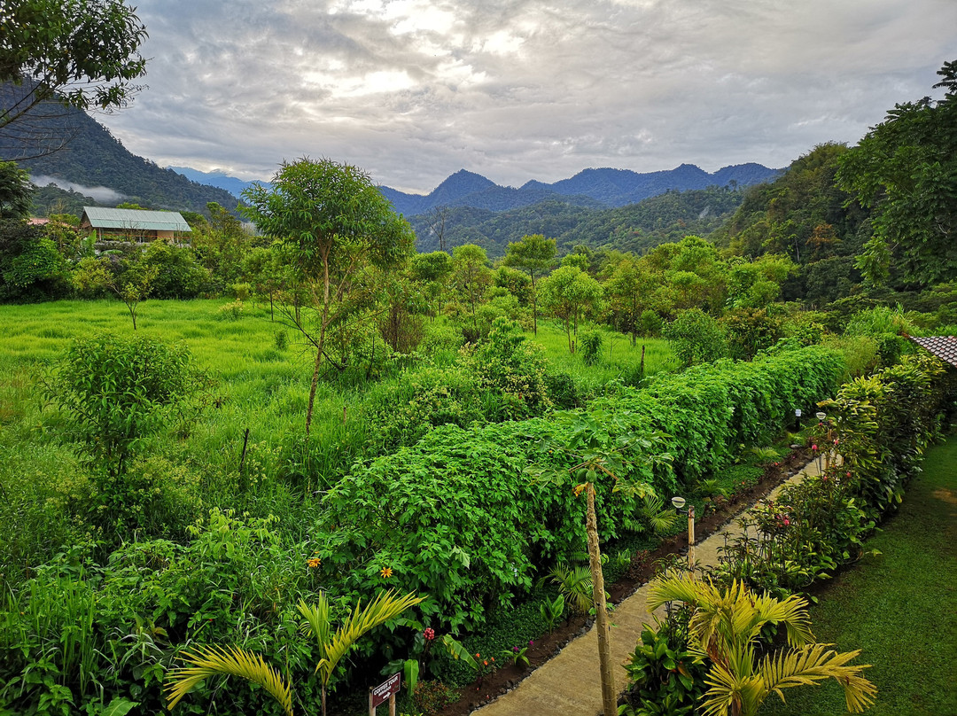 Mindo Coffee Lodge Spa主图