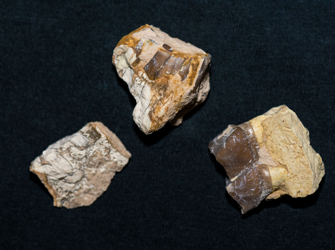 Things That Rock-希尔城必去景点