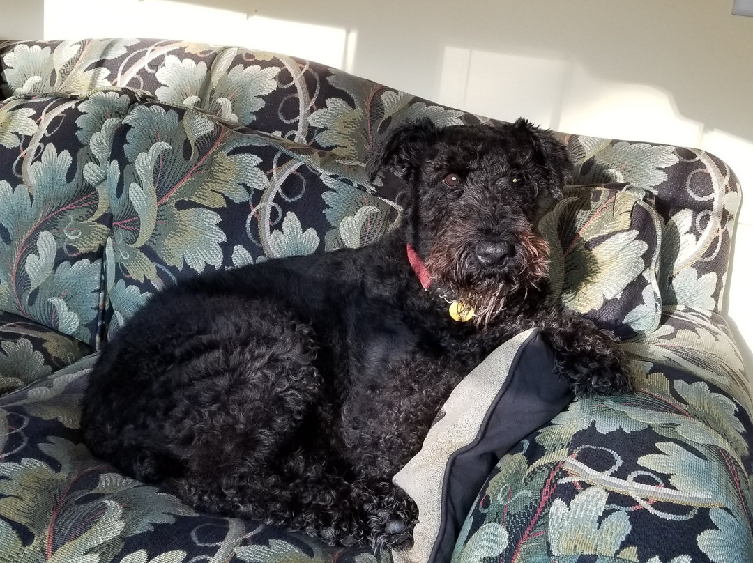 Sycamore Farms Country Inn B&B主图