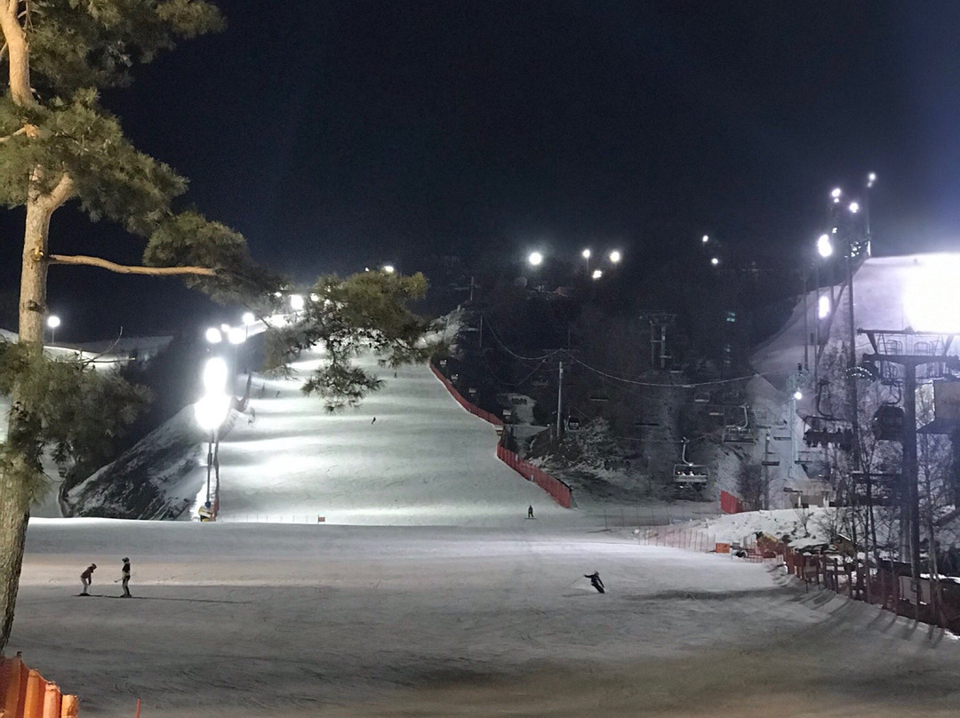 Phoenix Snow Park-平昌郡必去景点