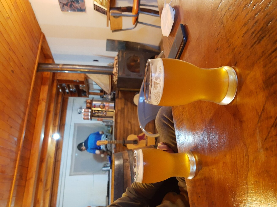 Zorro Viejo Puerto Almanza