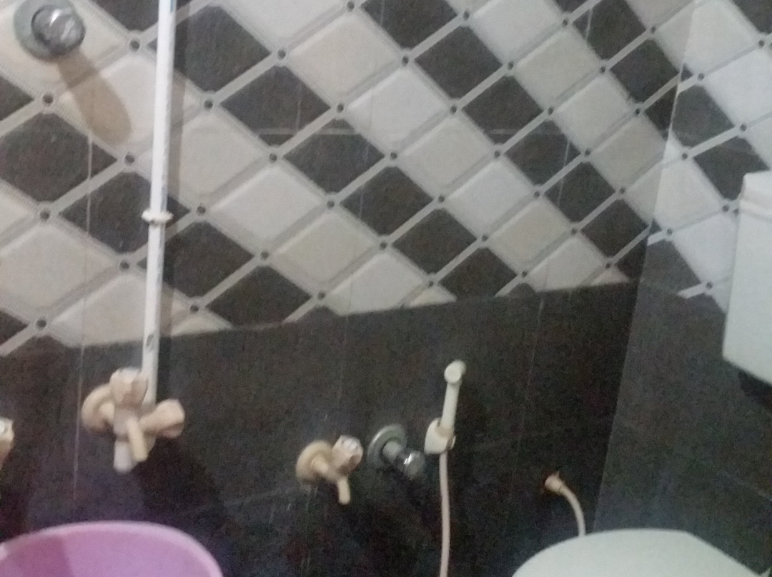 Hotel Somnath Atithigruh主图