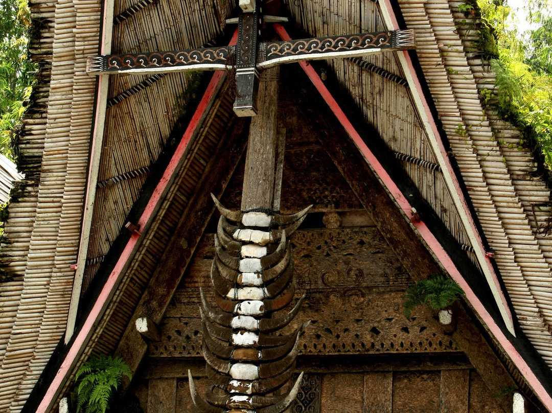 Toraja Village景点图片