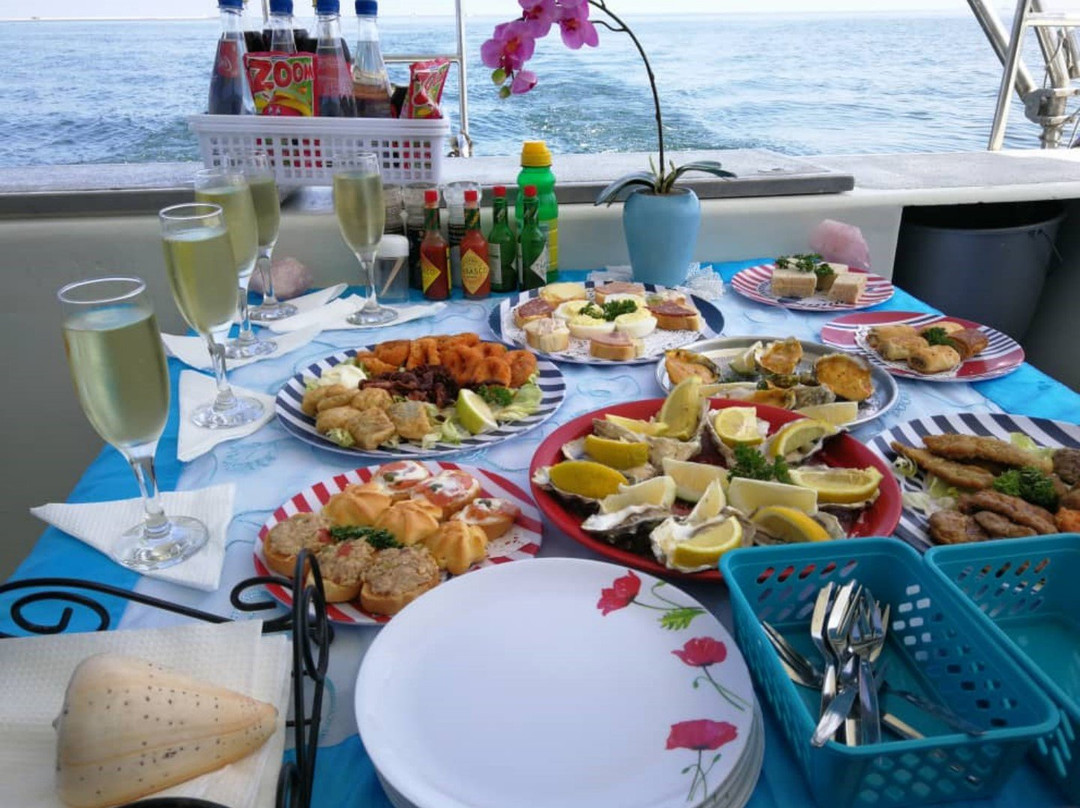 Dolphin Tours Namibia Eco Friendly Desert Tours-华维斯湾必去景点