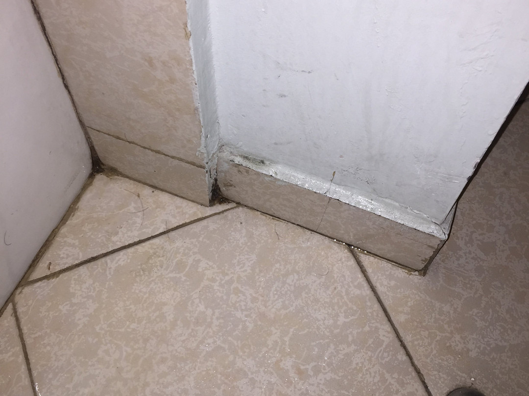 太平洋旅馆主图