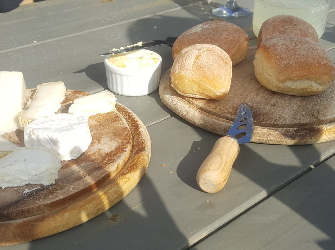 Tzeela Dairy-Ein Habesor必去景点