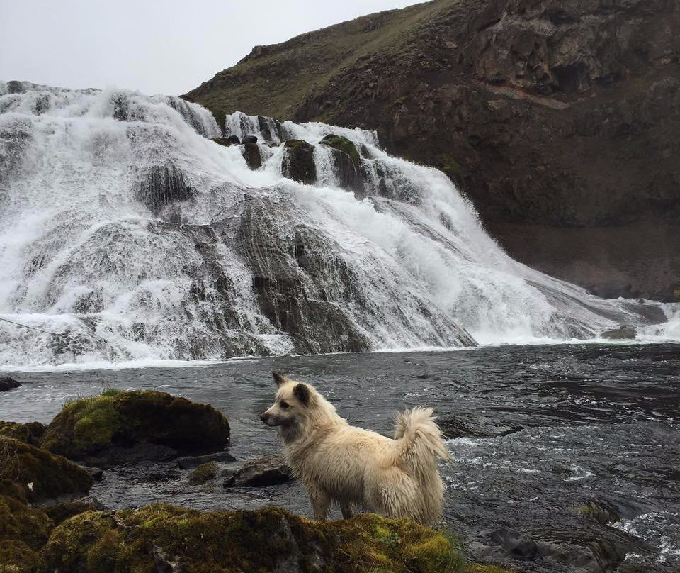 Hof i Vatnsdal主图