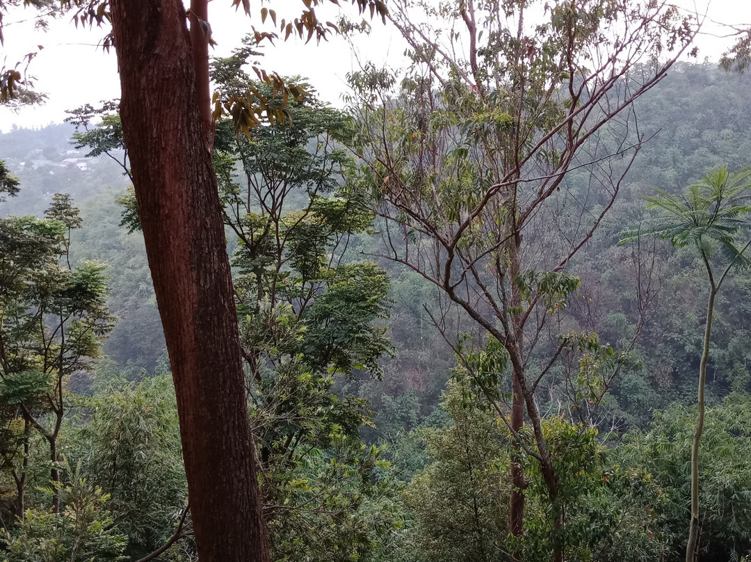 桑格利亚度假村主图