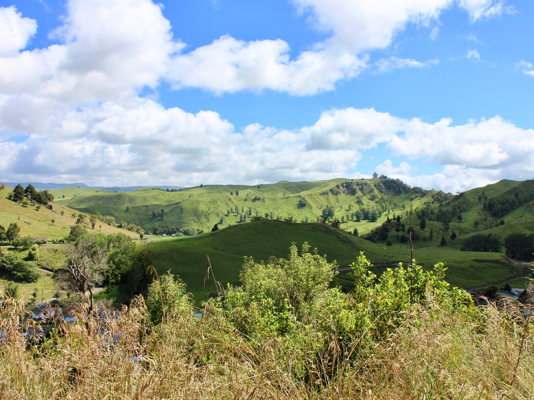 Gumboot Statue-Taihape必去景点
