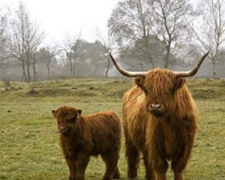 Natuur en Recreatiegebied Broekpolder景点图片