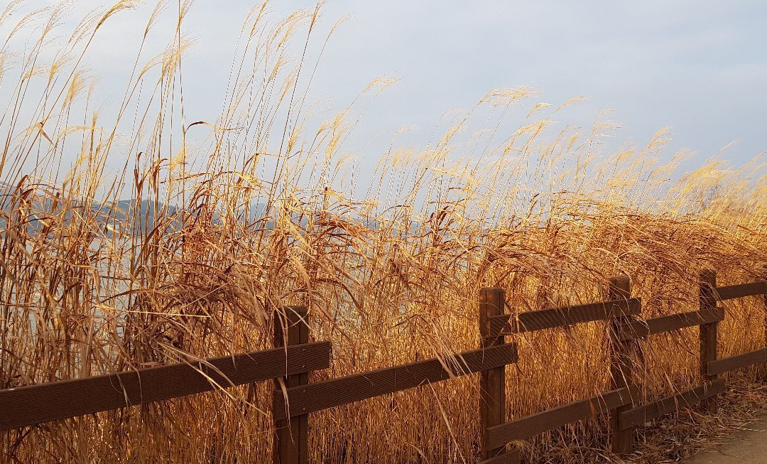 Junam Reservoir-昌原市必去景点