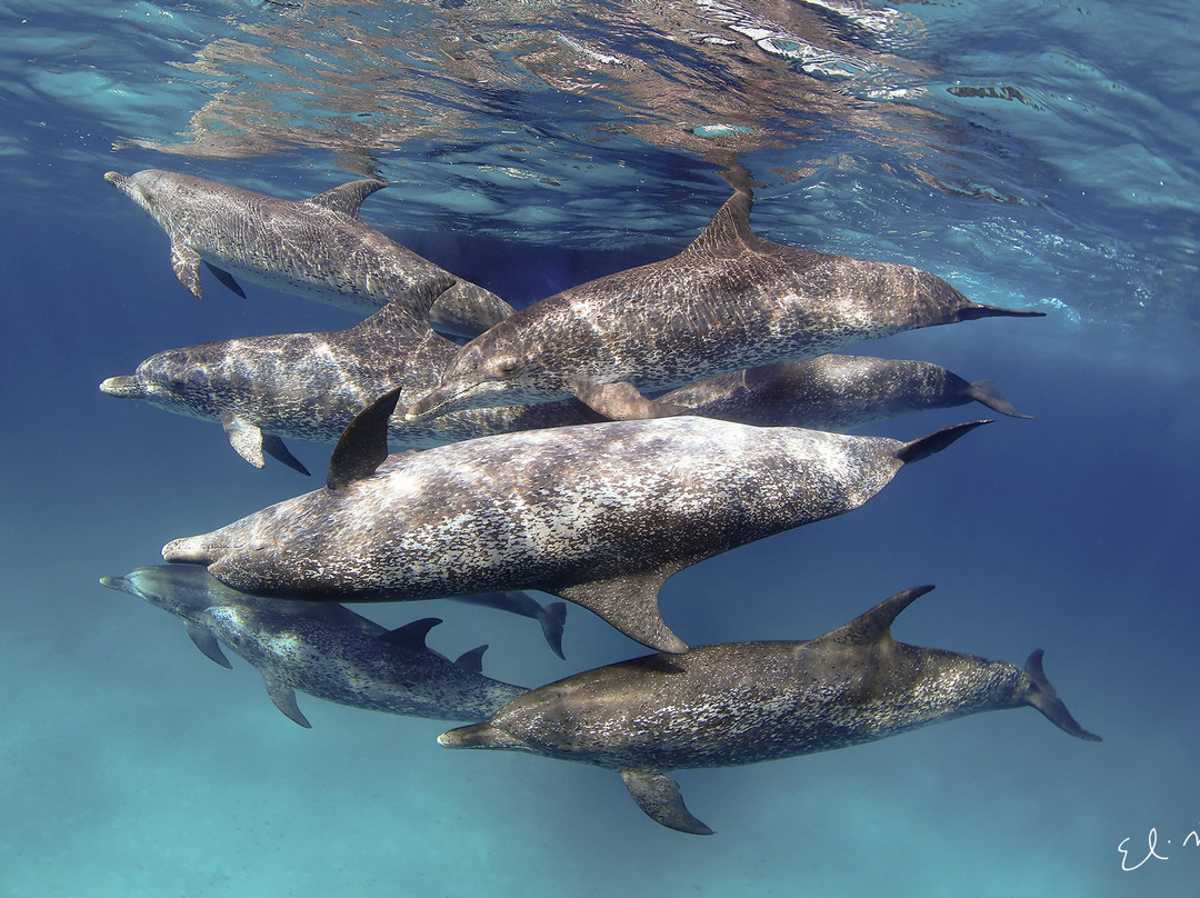 SDM adventures-Riviera必去景点