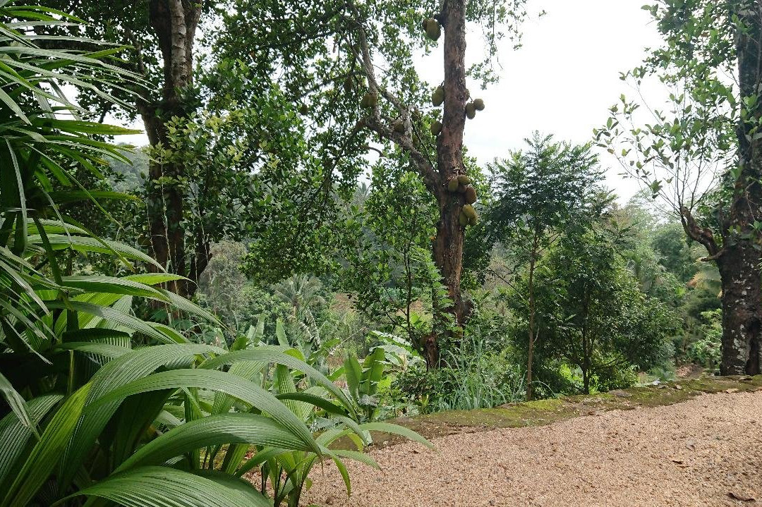 Landa Holiday Houses主图