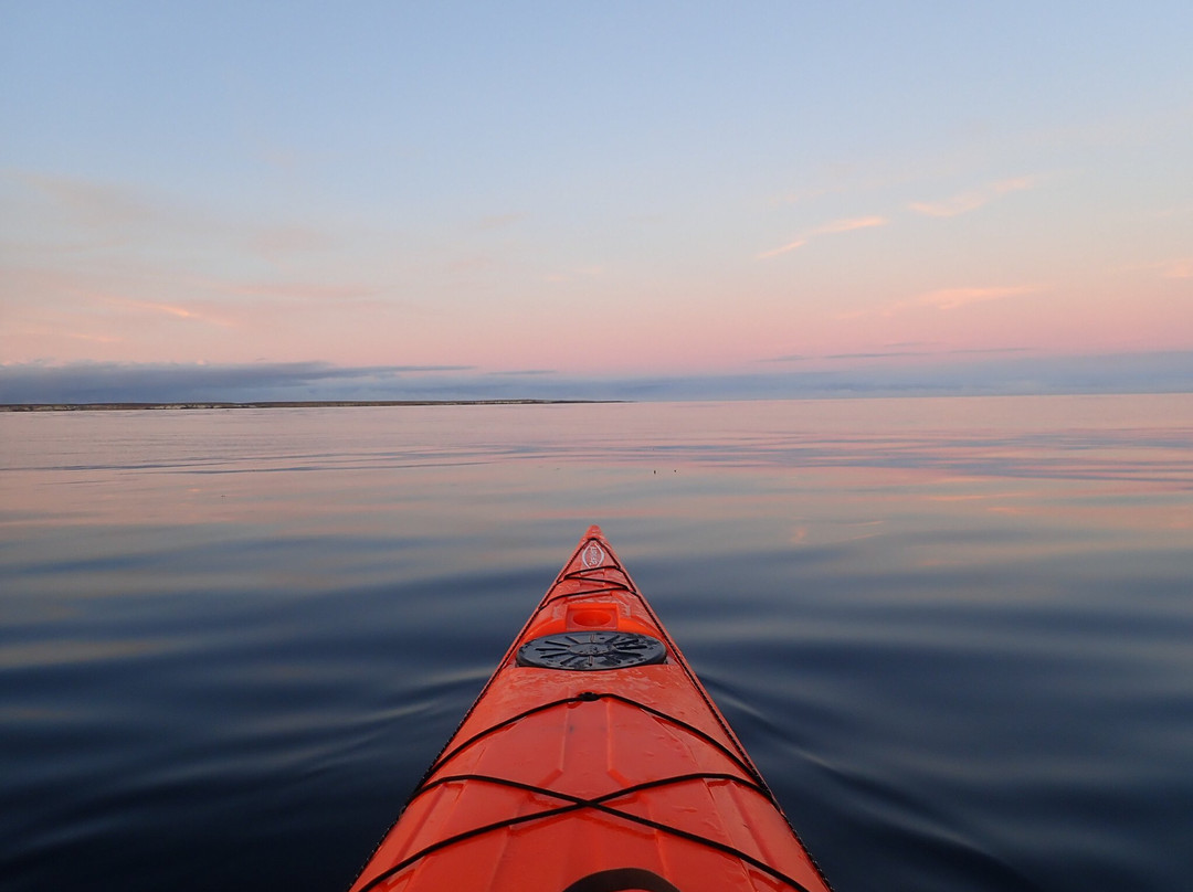 Falklands Outdoors-Stanley必去景点