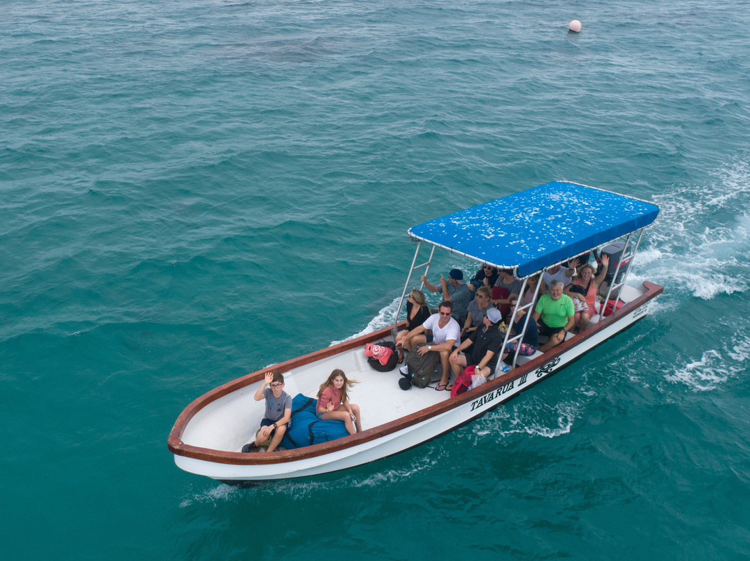 Tavarua Island Resort主图