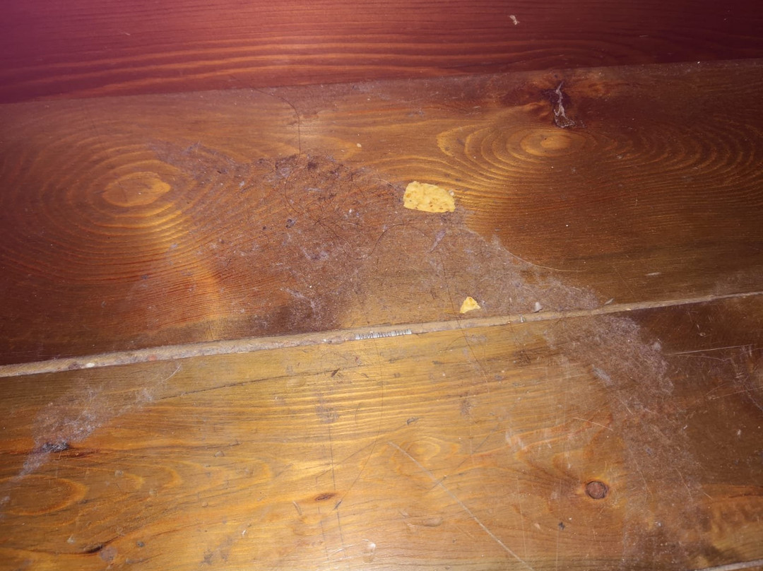 Hostal Cisco De Sans主图