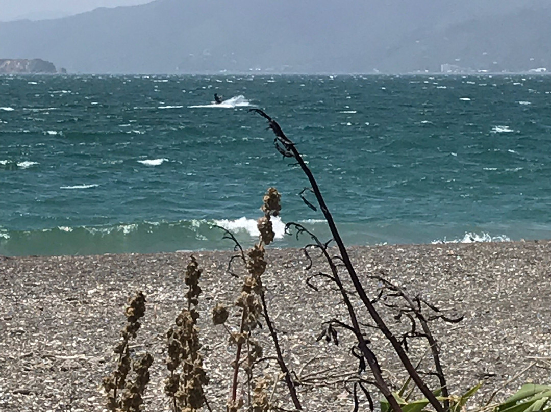 Eastbourne旅游攻略图片
