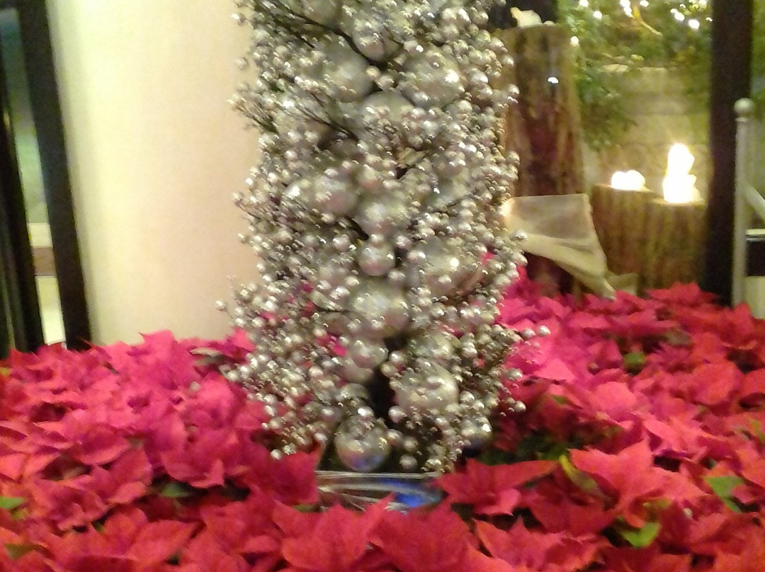 Hotel Terme Orvieto主图