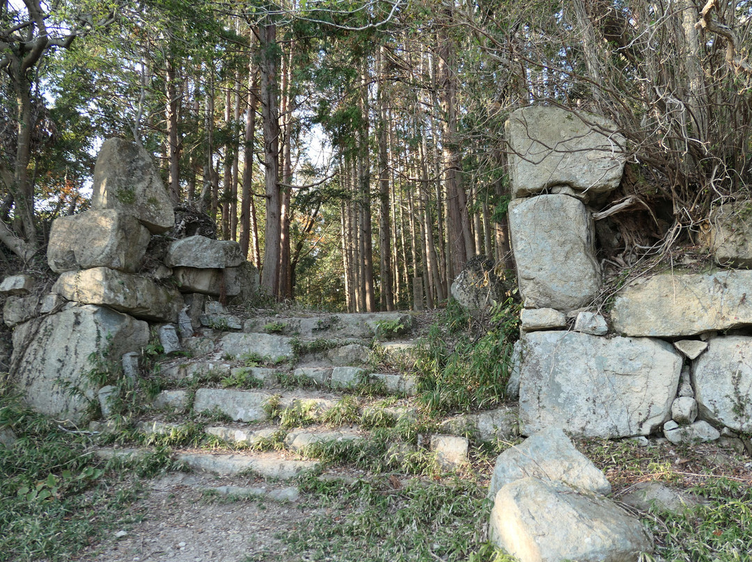 Kannonji Castle Ruin景点图片