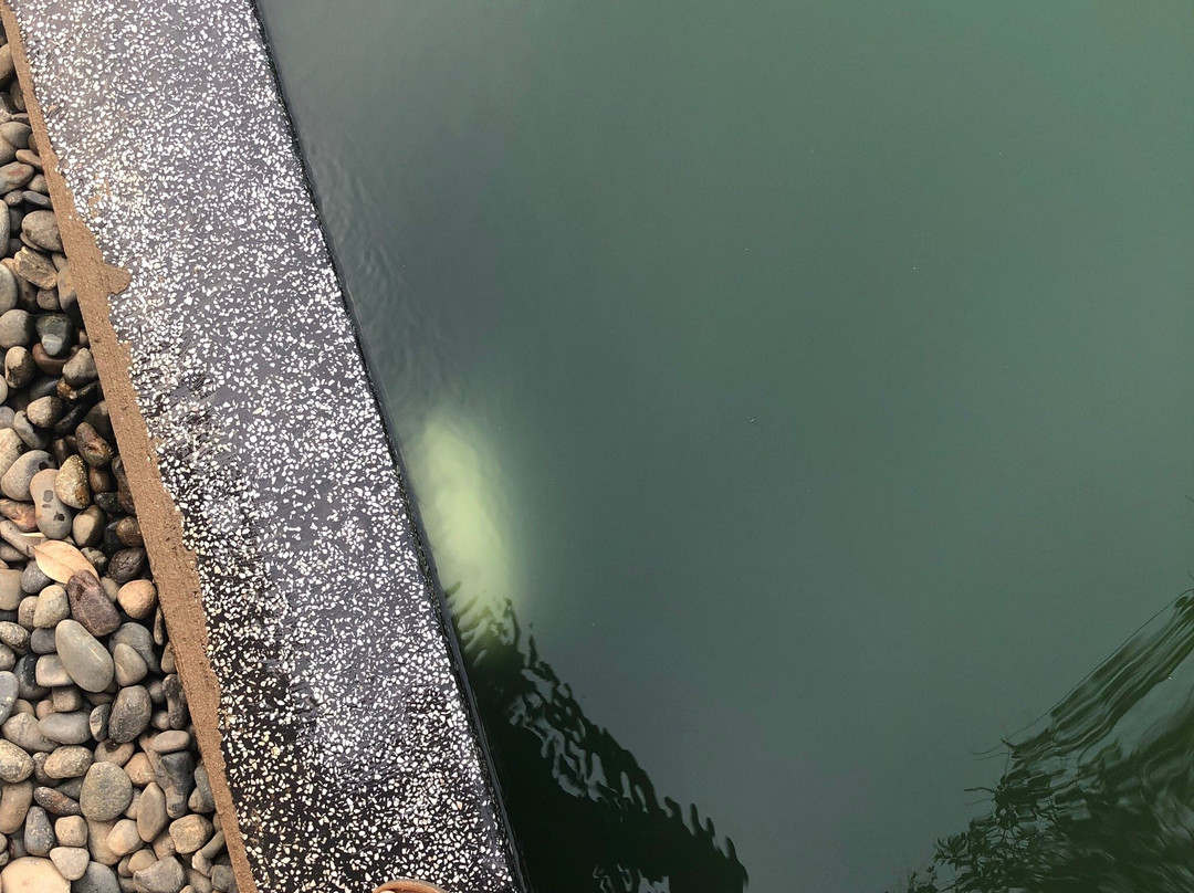 皮卡别墅酒店主图