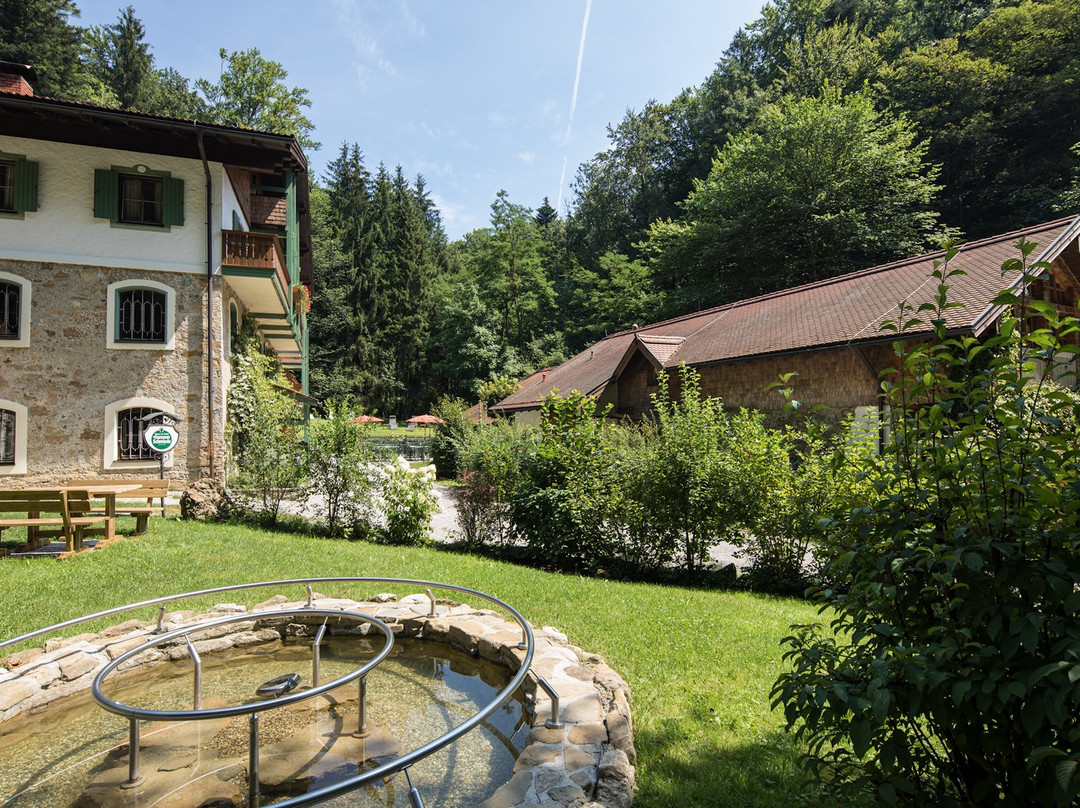 Naturidyll Hotel Hammerschmiede主图