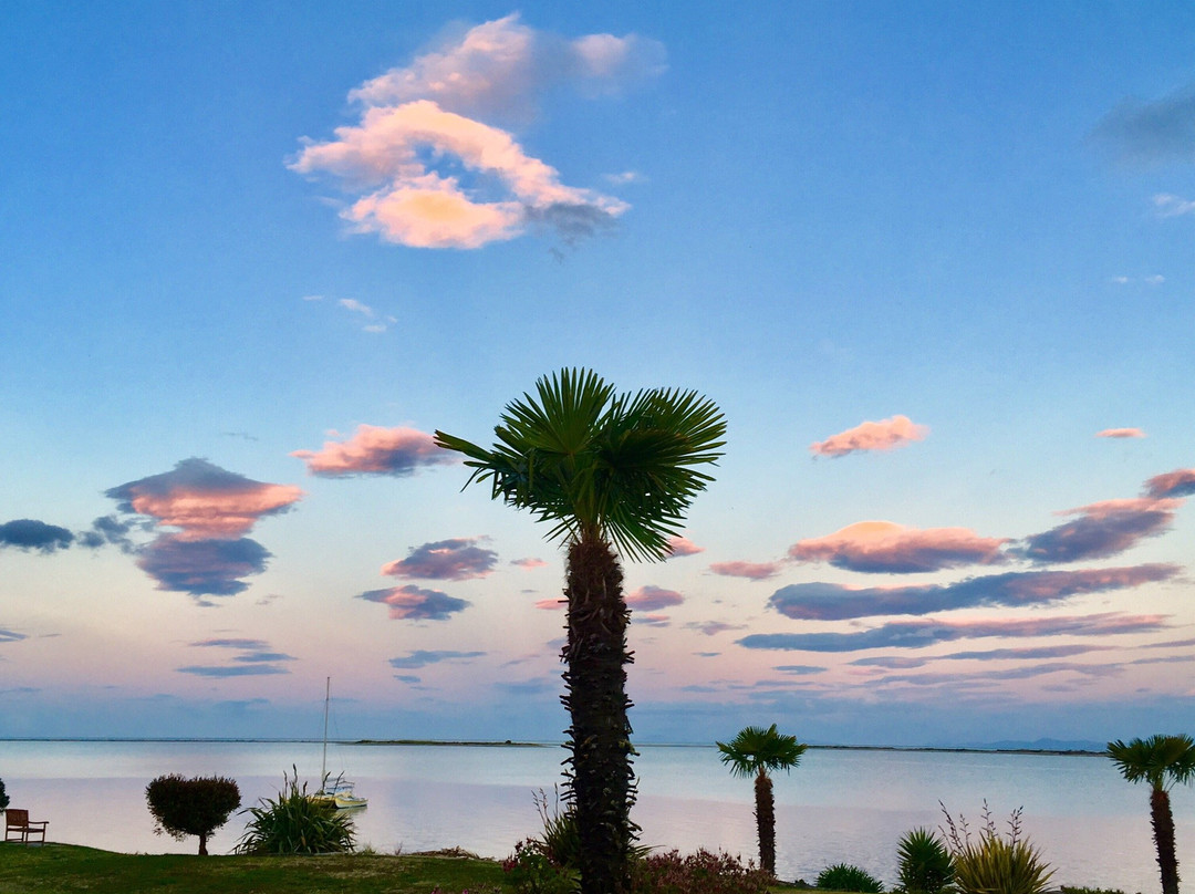 New Zealand I Drive-莫图伊卡必去景点