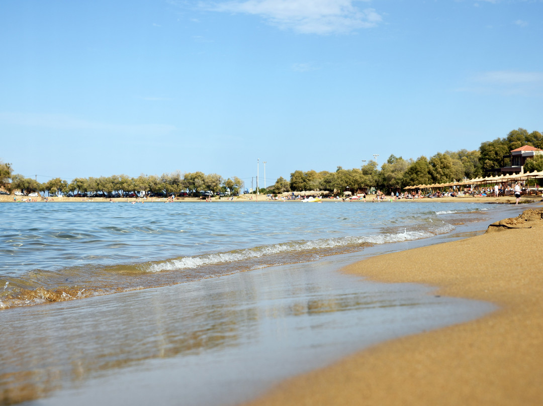 Iolkos Hotel Apartments Chania主图