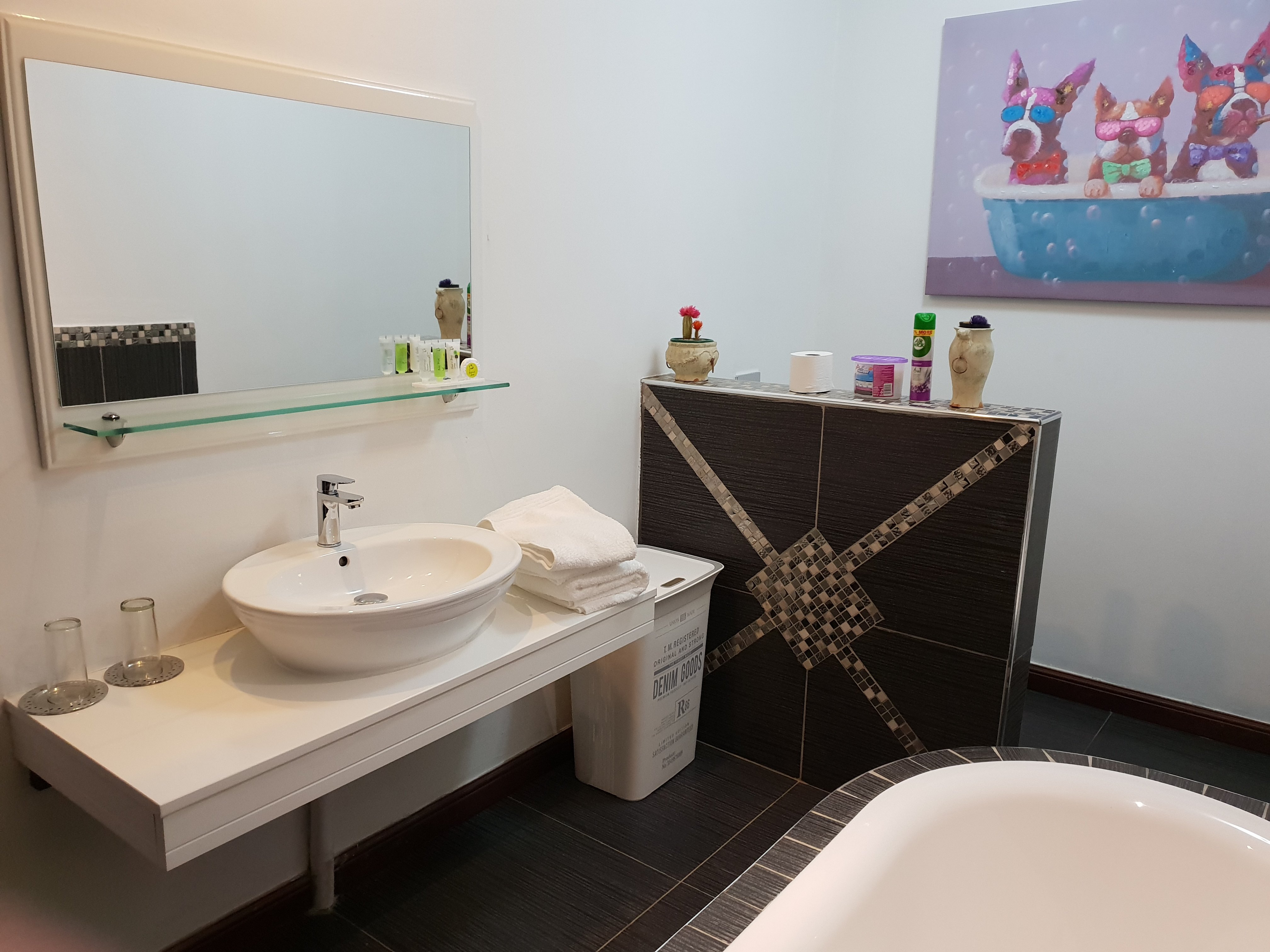 Eagle Rock Executive Guest House-浴室