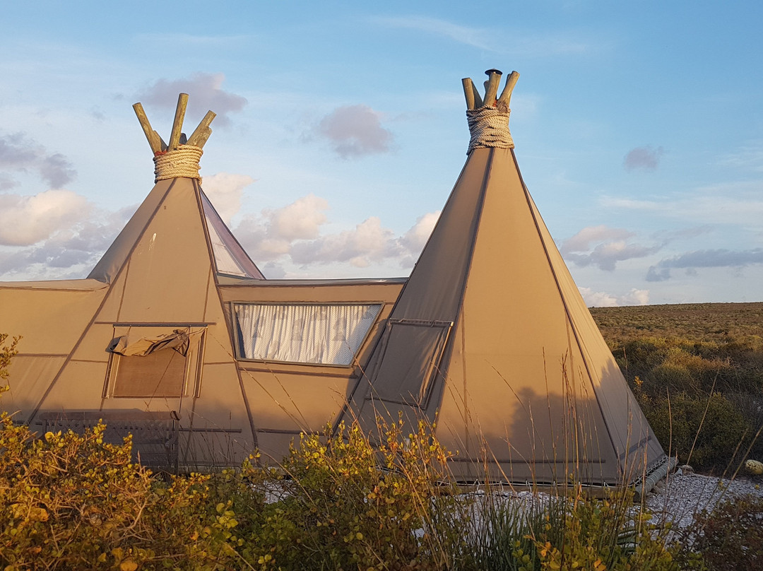 Farr Out Guesthouse主图