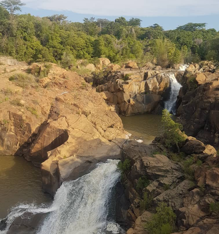 Lowveld National Botanical Garden-尼斯普鲁特必去景点