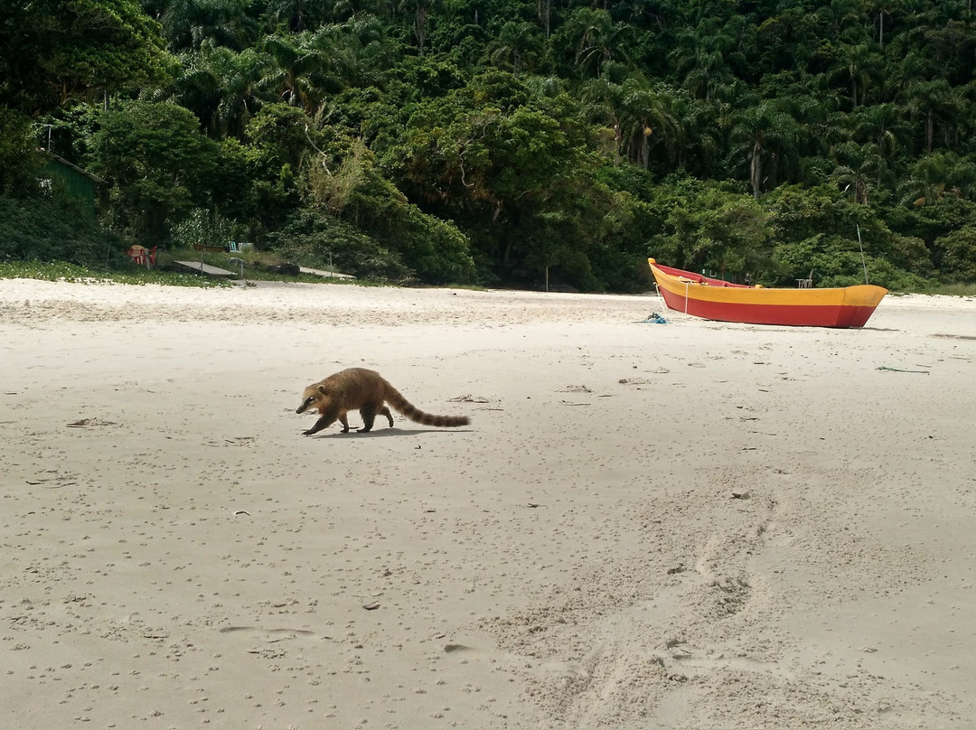 Escape Experiencia Turisticas-Lagoa da Conceicao必去景点
