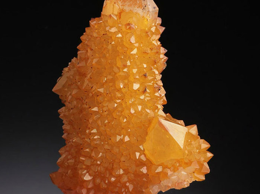 Dave's Down To Earth Rock Shop-埃文斯顿必去景点