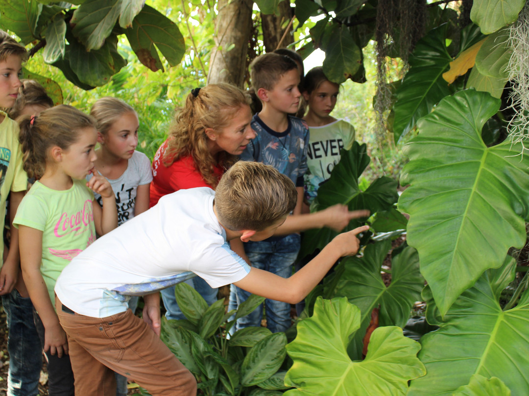 Omnium Sport & Recreatie-Goes必去景点