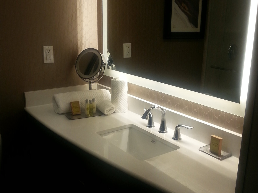 斯克内克塔迪希尔顿逸林酒店主图