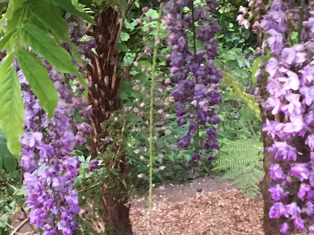 Waimoana Garden Accommodation主图